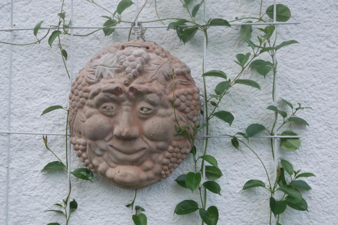 Glueck In Benrath Διαμέρισμα Ντίσελντορφ Εξωτερικό φωτογραφία